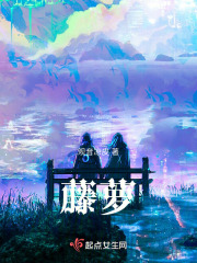 HP藤萝在线阅读