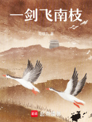 一剑飞南枝在线阅读