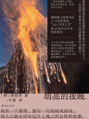 明亮的夜晚在线阅读