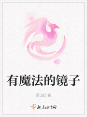 有魔法的镜子在线阅读