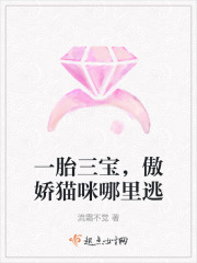 一胎三宝，傲娇猫咪哪里逃在线阅读