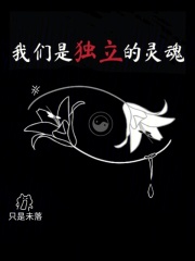我们是独立的灵魂在线阅读
