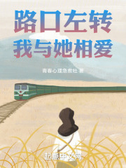 路口左转，我与她相爱在线阅读
