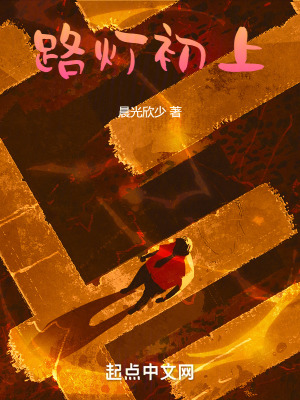 路灯初上在线阅读