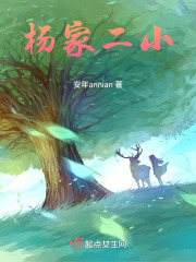 杨家二小在线阅读