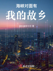 海峡对面有我的故乡在线阅读
