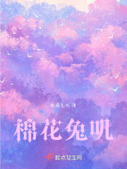 棉花兔叽在线阅读