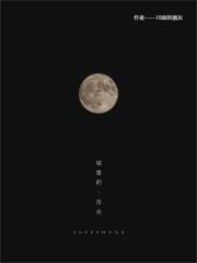 城里的月光在线阅读