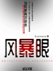 风暴眼在线阅读