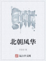 北朝风华在线阅读