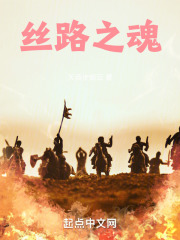 丝路之魂在线阅读