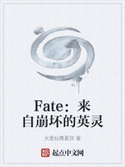 Fate：来自崩坏的英灵在线阅读