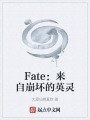 Fate：来自崩坏的英灵在线阅读