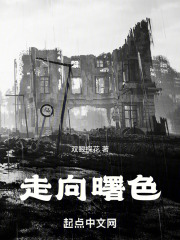 走向曙色在线阅读