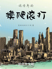 这些年的摸爬滚打在线阅读