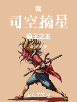 我，司空摘星，偷王之王！封面