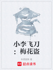 小李飞刀：梅花盗在线阅读