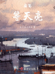 盗笔：等天亮在线阅读