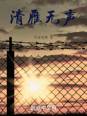 清雁无声在线阅读
