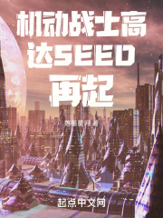 机动战士高达SEED再起在线阅读