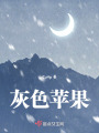 灰色苹果在线阅读