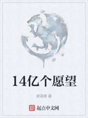 14亿个愿望在线阅读