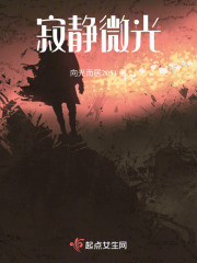 寂静微光在线阅读