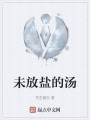 未放盐的汤在线阅读