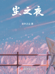 尘之夜在线阅读