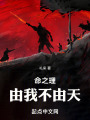 抛硬币的人生在线阅读