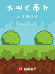 我叫史蒂夫之方块战纪在线阅读