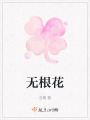 无根花在线阅读