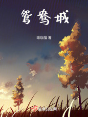 鸳鸯城在线阅读