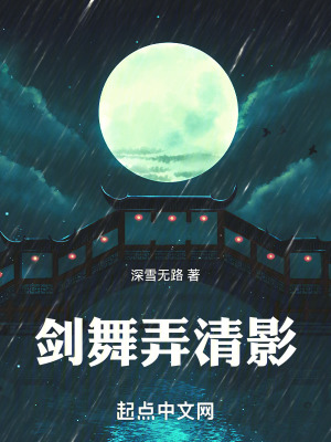 剑舞弄清影在线阅读