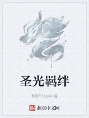 圣光羁绊在线阅读