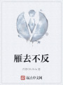 雁去不反在线阅读
