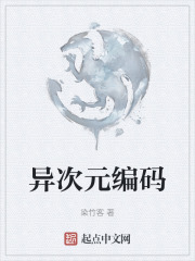 异次元编码在线阅读