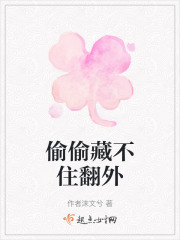 偷偷藏不住翻外在线阅读