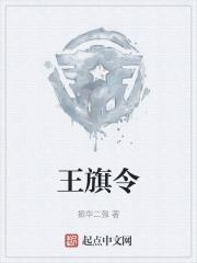 王旗令在线阅读