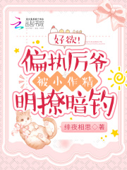 好欲！偏执厉爷被小作精明撩暗钓在线阅读