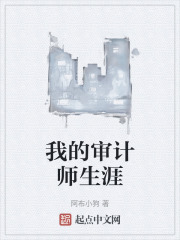 我的审计师生涯在线阅读