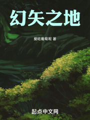 幻矢之地在线阅读