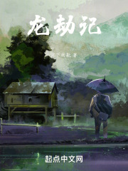龙劫记在线阅读