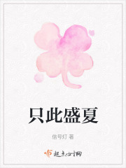 只此盛夏在线阅读
