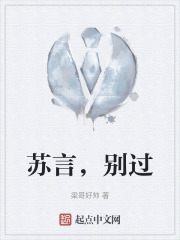 苏言，别过在线阅读