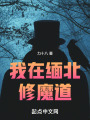 我在缅北修魔道在线阅读