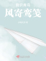 我识青鸟，风寄鸾笺在线阅读