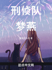 刑侦队梦燕在线阅读