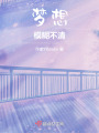 梦想模糊不清在线阅读