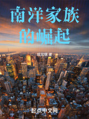南洋家族的崛起在线阅读
